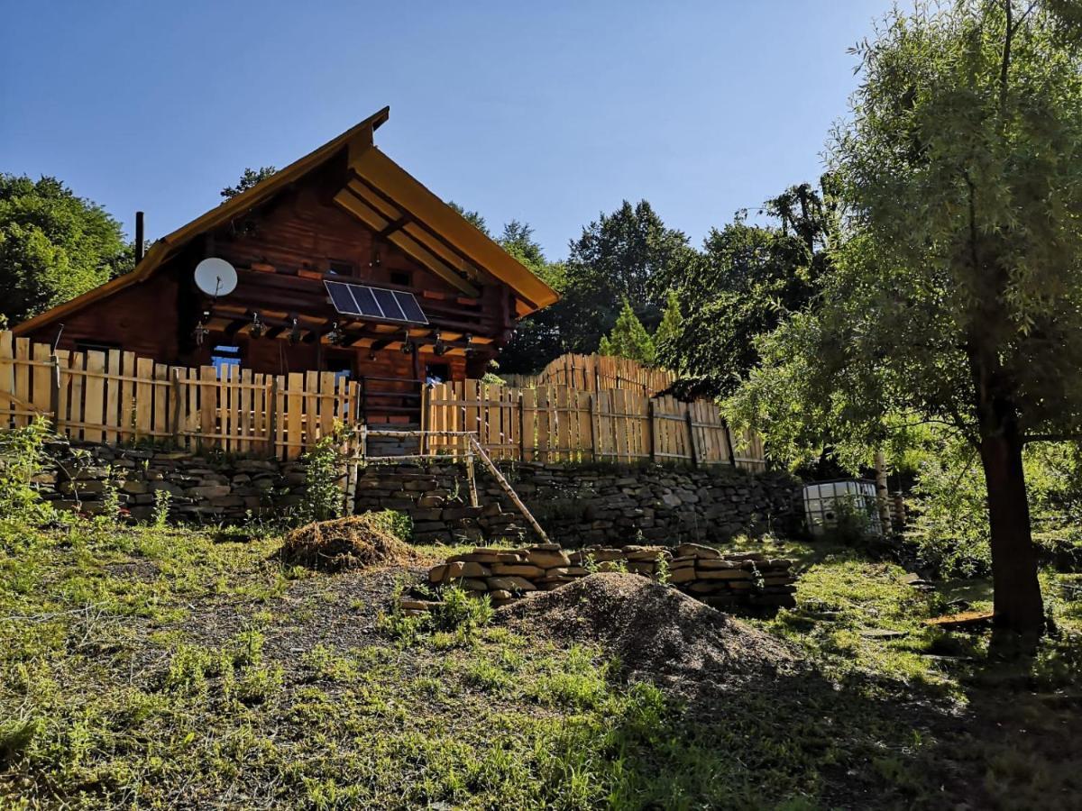 Pensiunea Izvorul Bucuriei Siriu Exterior foto