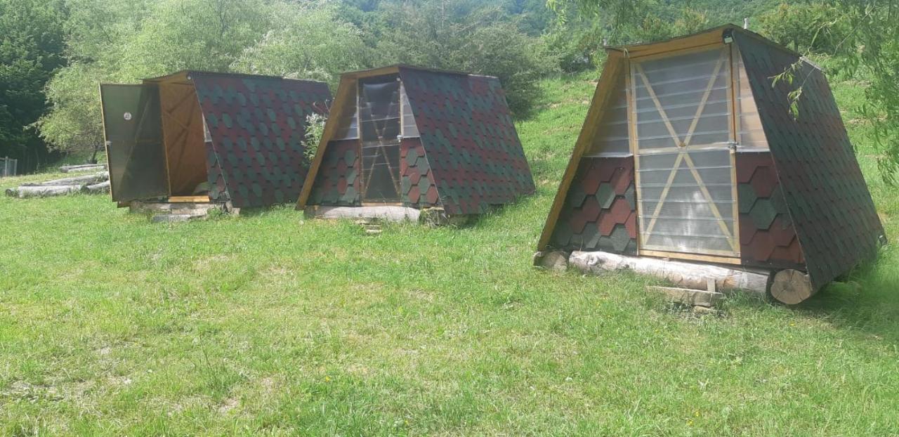 Pensiunea Izvorul Bucuriei Siriu Exterior foto