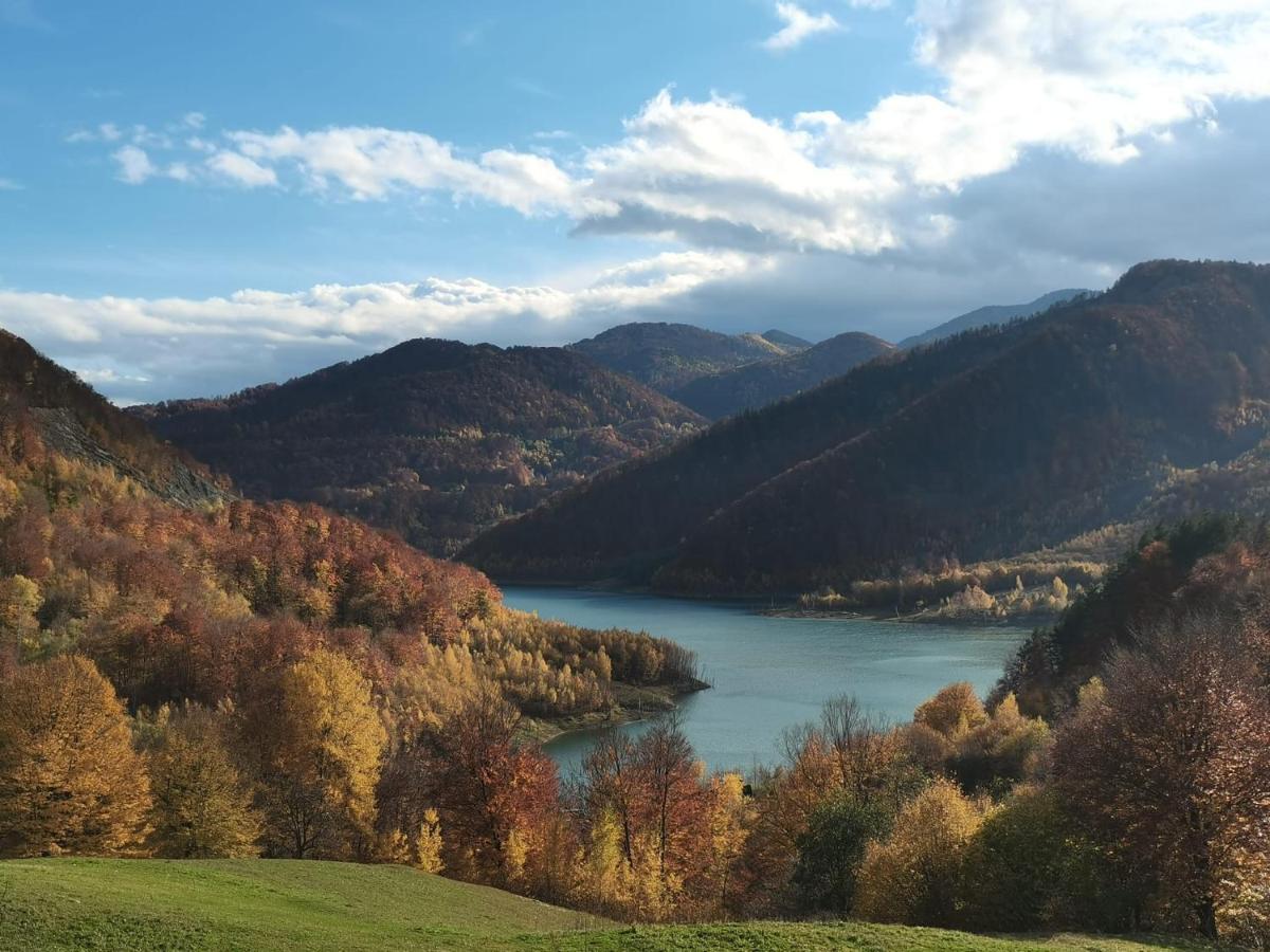 Pensiunea Izvorul Bucuriei Siriu Exterior foto
