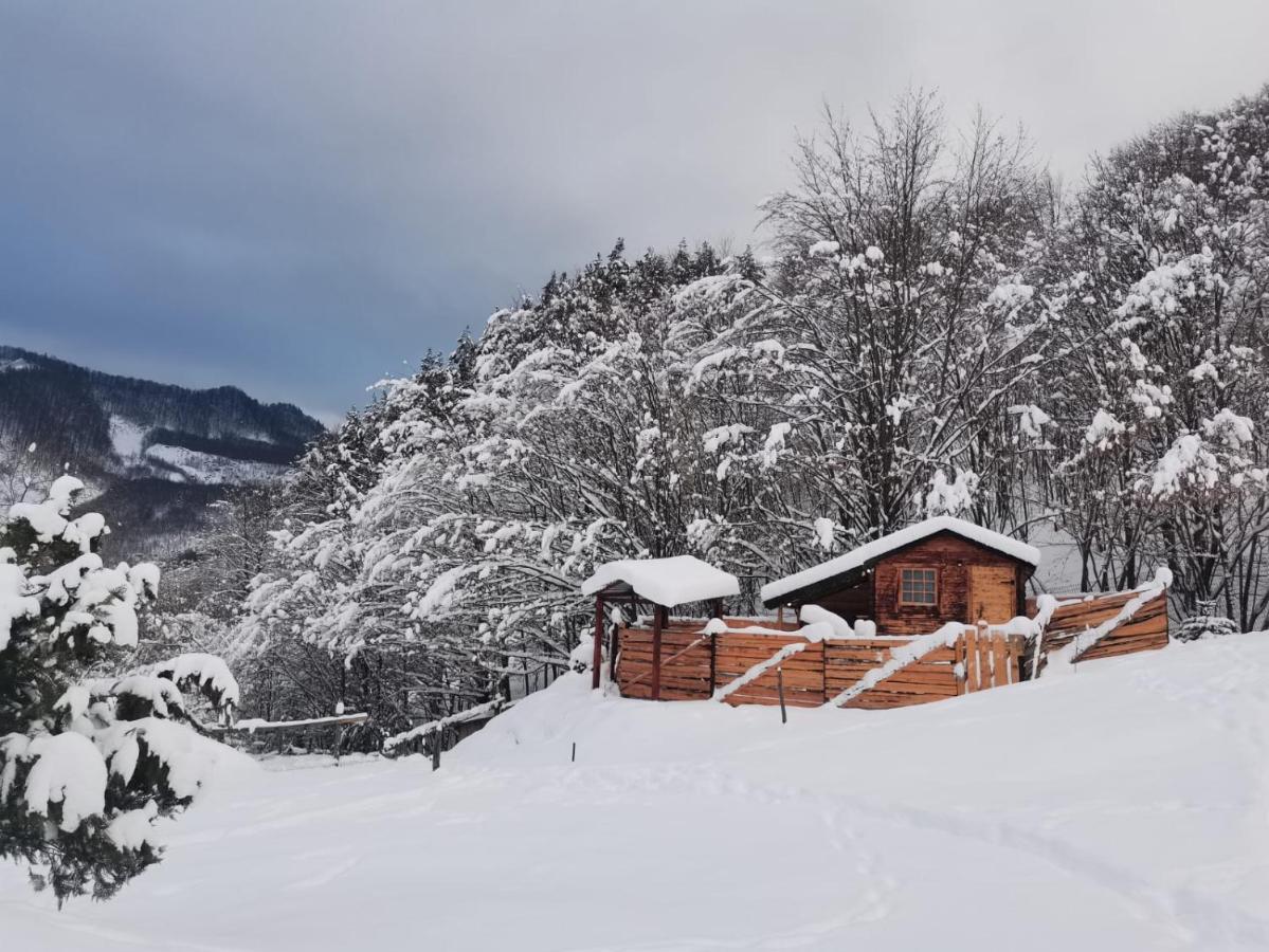 Pensiunea Izvorul Bucuriei Siriu Exterior foto