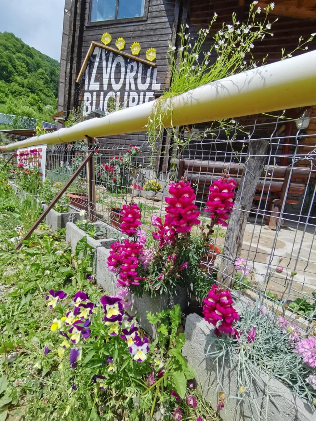 Pensiunea Izvorul Bucuriei Siriu Exterior foto