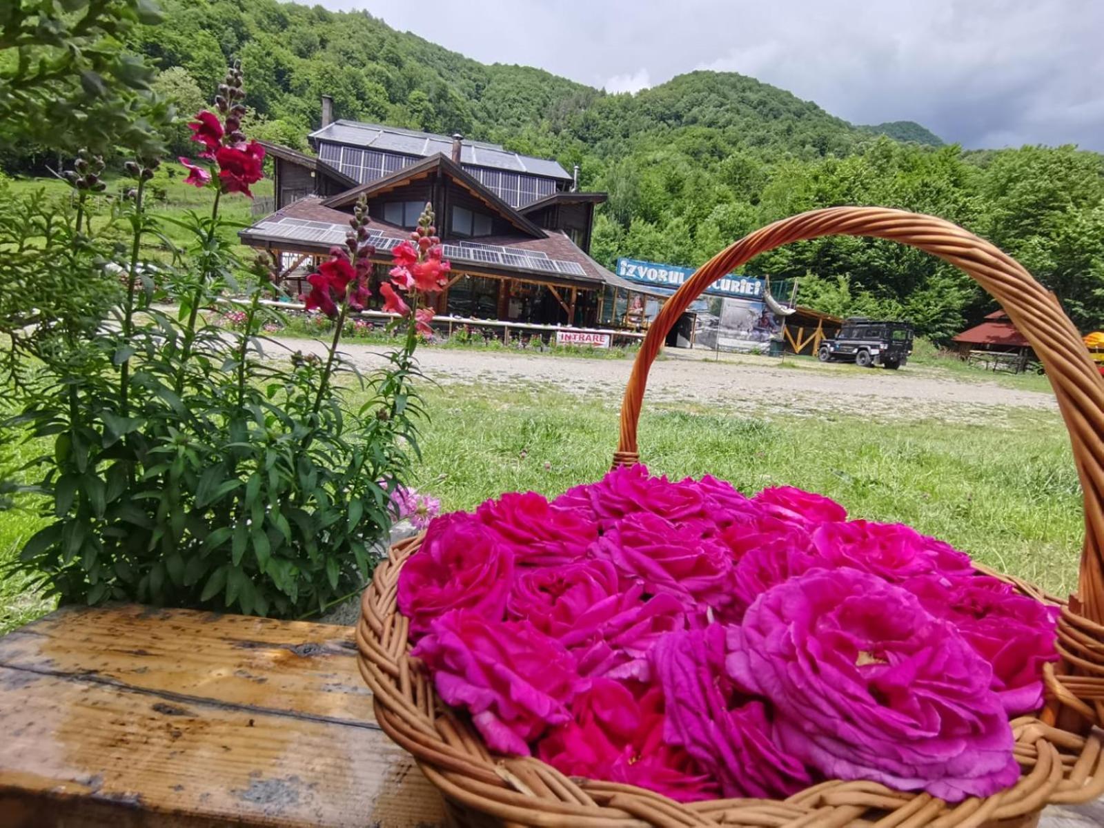 Pensiunea Izvorul Bucuriei Siriu Exterior foto